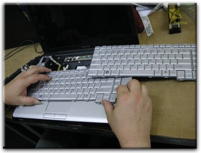 Ремонт клавиатуры на ноутбуке Toshiba в Краснодаре